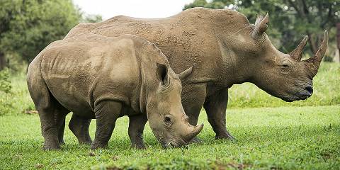 3-Day Murchison Falls National Park Safari-Uganda