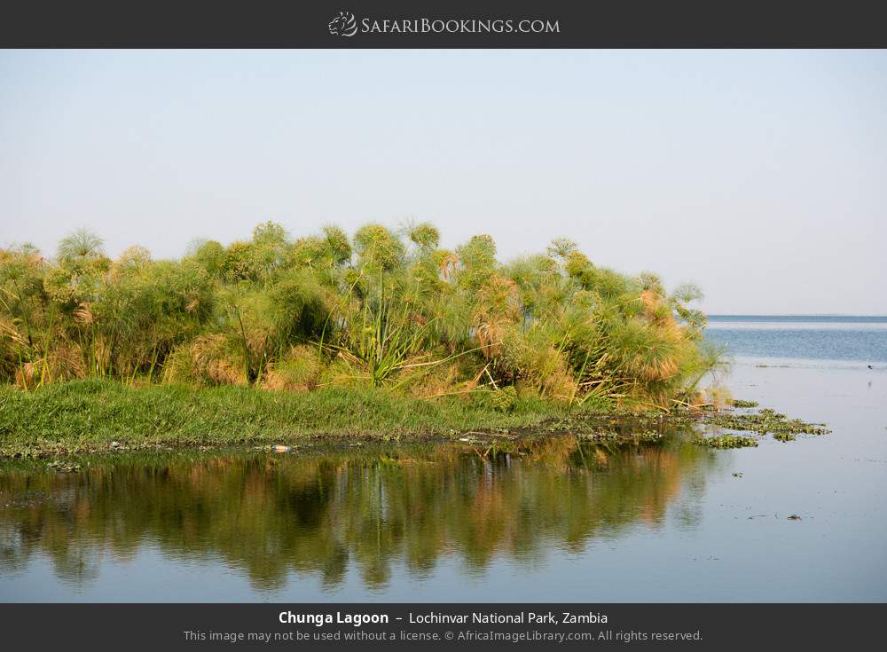 Chunga Lagoon in Lochinvar National Park, Zambia
