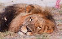 Liuwa Plain National Park