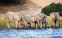 Nsumbu National Park