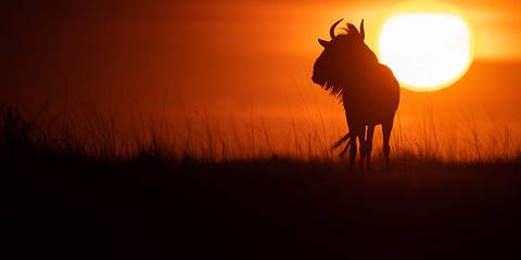 12-Day Wildlife Safari with Mountainbiking