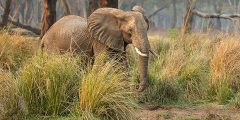 6-Day Kariba Houseboat and Lower Zambezi Safari