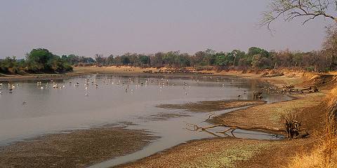 6-Day South Luangwa National Park Luxury Safari