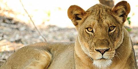 The Cross Border Adventure Malawi & Zambia