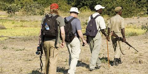 4-Day Best of South Luangwa Mid Range Safari Package