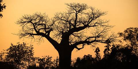½-Day Bulawayo City and Township Tour