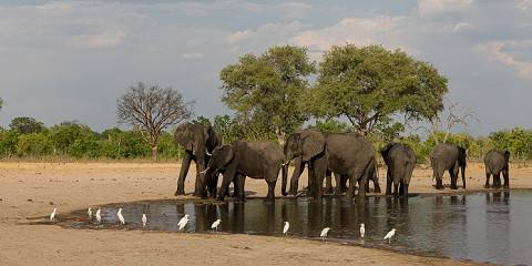 Affordable Victoria Falls & Hwange NP Safari