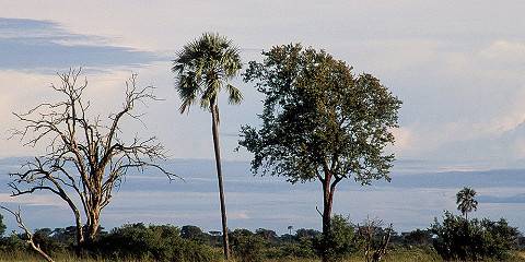 4-Day Victoria Falls and Hwange Full-Day Game Drive