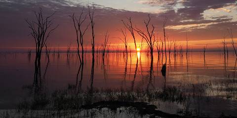 Hwange and Victoria Falls Sightseeing Safari