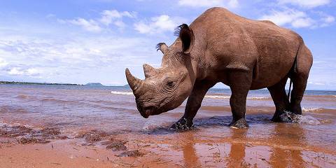 1-Day Matobo National Park