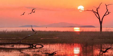 Victoria Falls - 4x4 Safari+Guided Walking Safari
