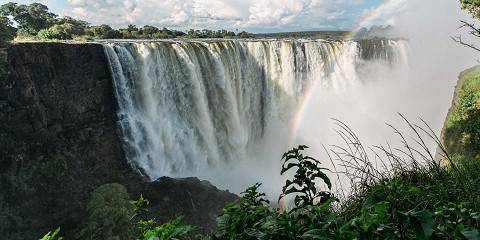 1-Day Wildlife Expedition Chobe National Park