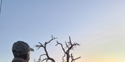3-Day Mid Range Big-5 Private Game Reserve Experience