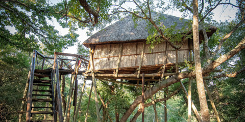 3-Day Tremisana/Treehouse Kruger Park Safari