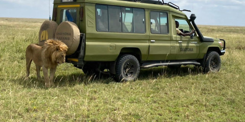 5-Day Serengeti, Ngorongoro & Tarangire