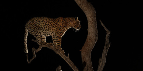 10-Day Tanzania Northern Circuit Comfort Adventure