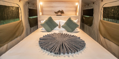5-Day Kruger Safari in a Tented Camp (En-Suite)