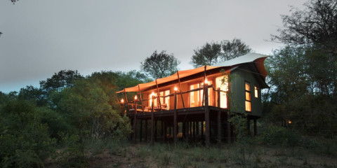 4-Day Safari at Kapama Buffalo Camp