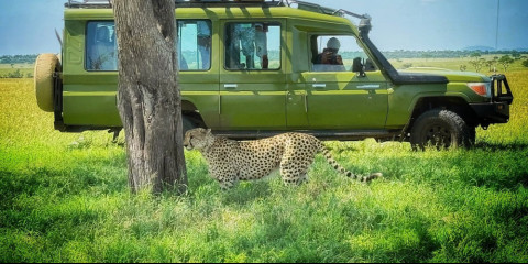 5-Day Ultimate Luxury of Tanzania