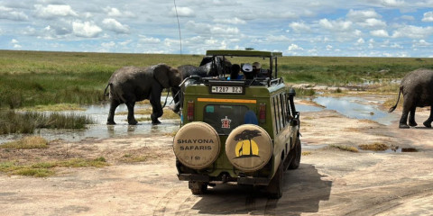 4-Day Big 5 Special Safari (Mid-Range)