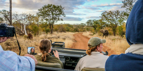 3-Day Kruger Hop Big 5 Tented Bushcamp Safari