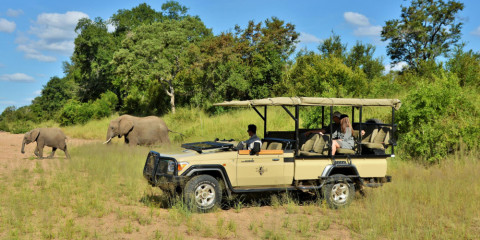 4-Day All Inclusive Fly-in Tour to Kruger's Imbali Lodge