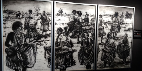 1-Day Private Custom Art Galleries Tour (Johannesburg)