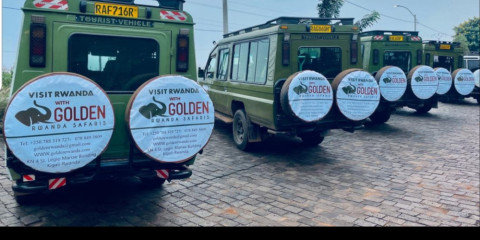 4-Day Gorilla Trekking & Golden Monkeys