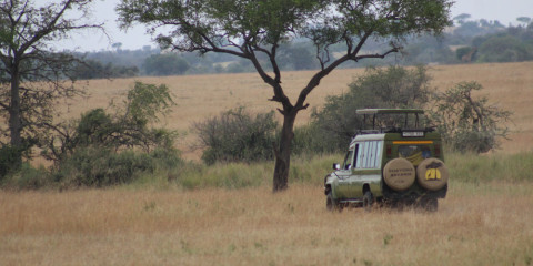 3-Day Serengeti - Smart and Affordable Wilderness