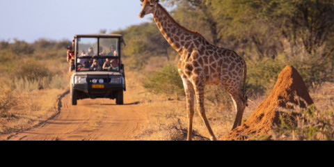 4-Day Luxury Ivory Moon Safari in Kruger National Park