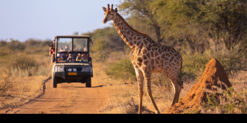 4-Day Luxury Ivory Moon Safari - Fly in from Cape Town