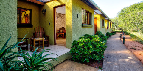 4-Day Kubu Safari Lodge Safari