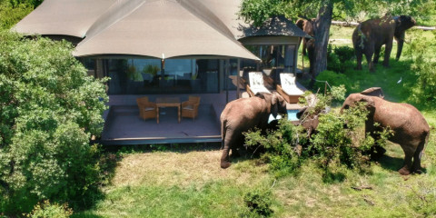 4-Day Old Drift Lodge Luxury Tour