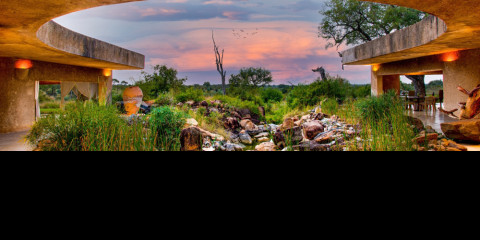 4-Day Sabi Sabi Earth Lodge Safari