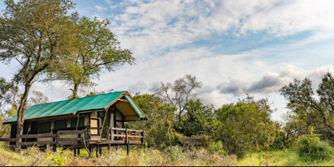 4-Day Manyeleti Ndzhaka Camp Fly in from Cape Town