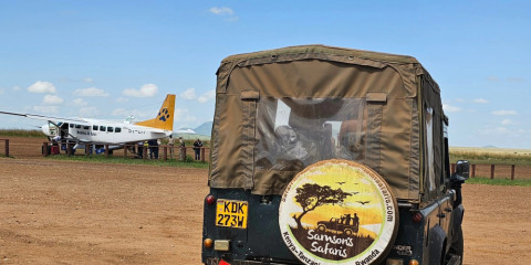 1-Day Masai Mara Fly in Safari - Daily Departure