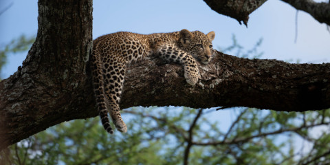 9-Day Tour - Canoeing, Empakai Trekking, Olduvai, Walks