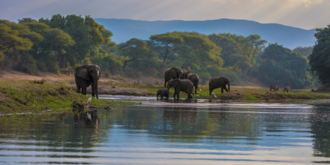 16-Day Zambia off the Beaten Track Safari