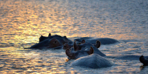 9-Day Epic South African Adventure Tour & Safari