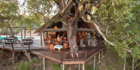 3-Day Sabi Sands Umkumbe Bush Lodge Fly-in Safari