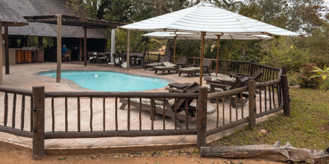 4-Day Sabi Sands Umkumbe Bush Lodge Fly-in Safari