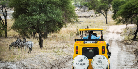 6-Day Serengeti Calving Season Private Safari