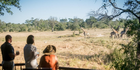 3-Day Sabi - Umkumbe Bush Lodge