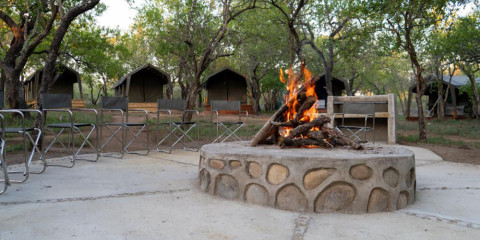 4-Day Sekekama Tented Camp Safari from Hoedspruit