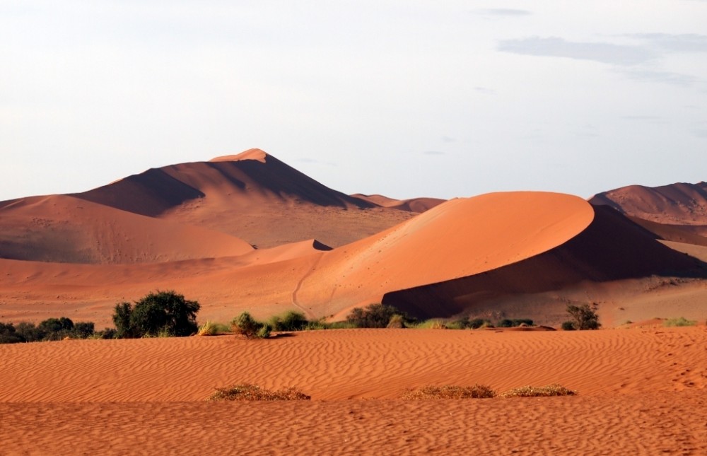 Classic Namibia Safari