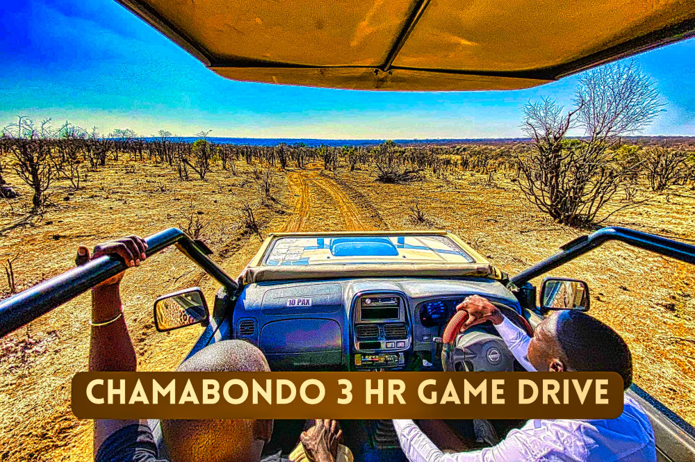 4x4 Safari in National Park+ Walking Tour Combo