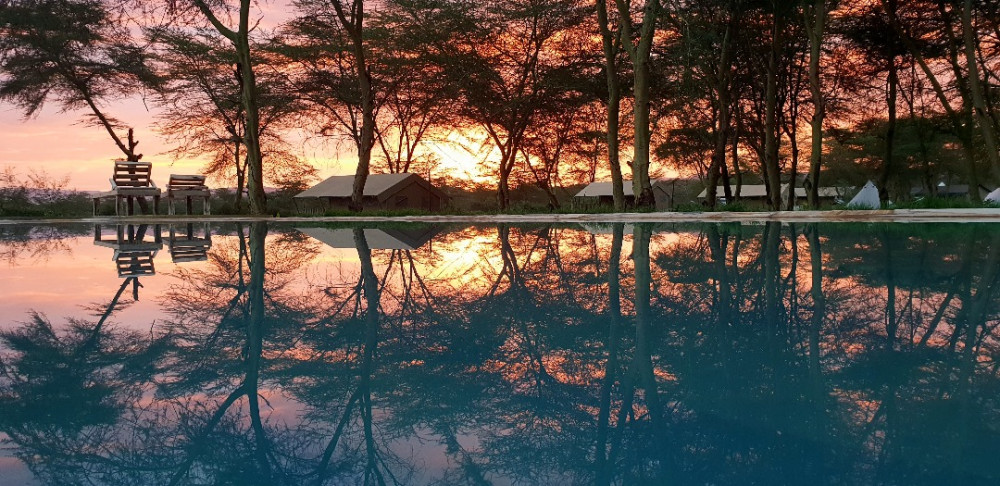 Safari Dream Glamping Voyage