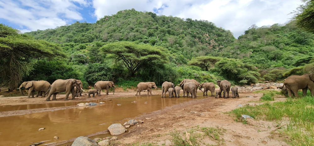 Tarangire and Lake Manyara Comfort Safari
