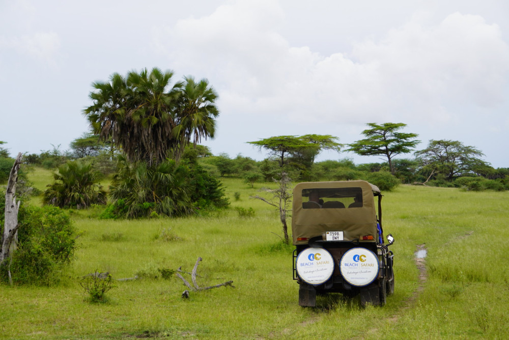 Nyerere Wilderness Escape Comfort Safari