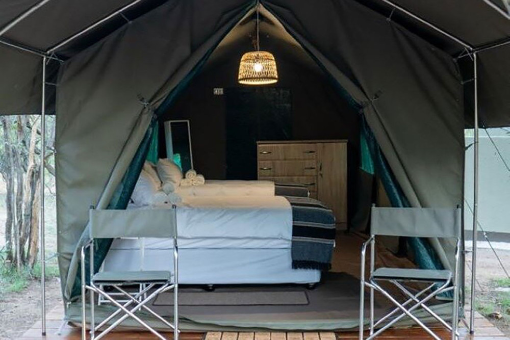 Sekekama Tented Camp Safari Fly-in from Cape Town
